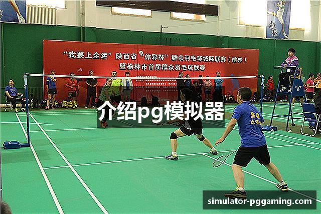 介绍pg模拟器